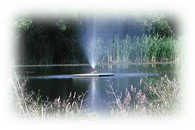 lagoon