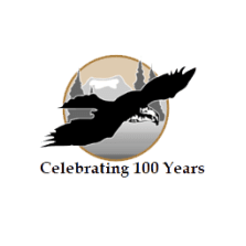 Sunnydale celebrating 100 years logo